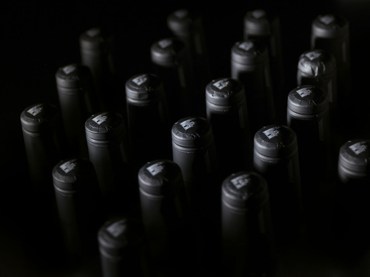 Progetto Tenuta Amadio | Arte Laguna