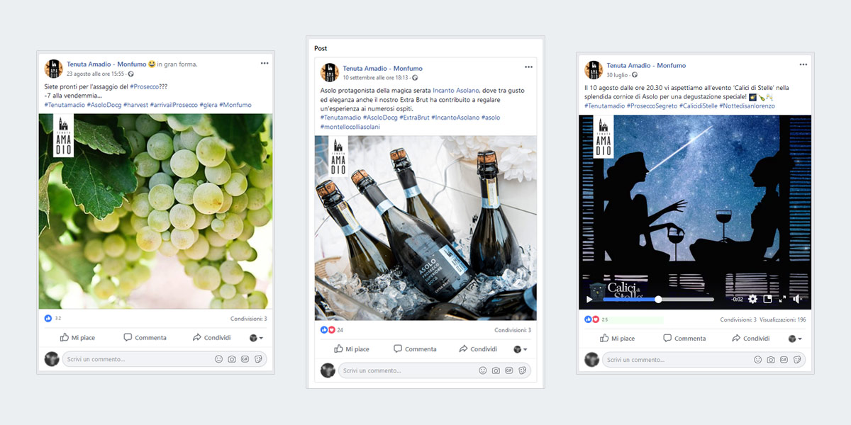 Progetto Tenuta Amadio | Arte Laguna